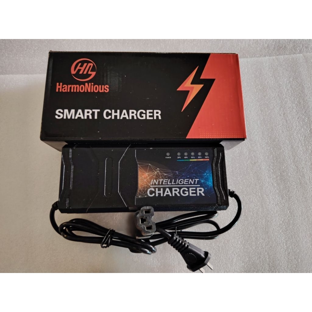 Lead Acid Battery Charger 48V12AH for Electric Bicycle