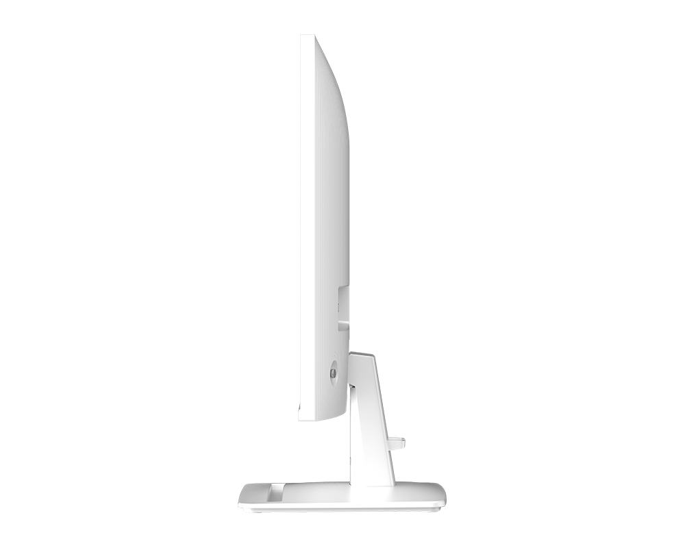 MSI PRO MP251W E2 24.5