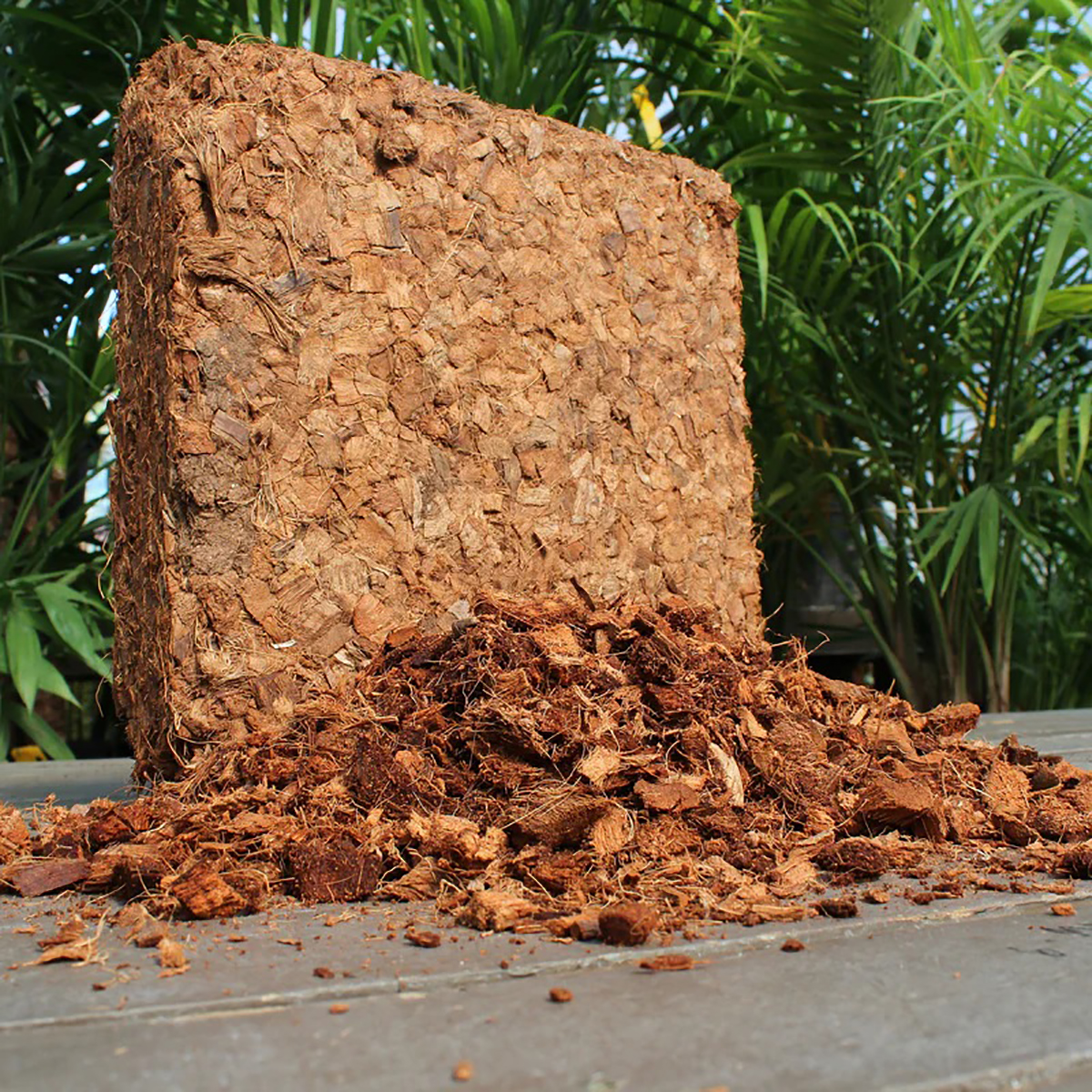 4.5kg Cocopeat Block Premium Coir Coco Peat Compressed Cocopeat Brick Garden Soil Bongkah Sabut Kela