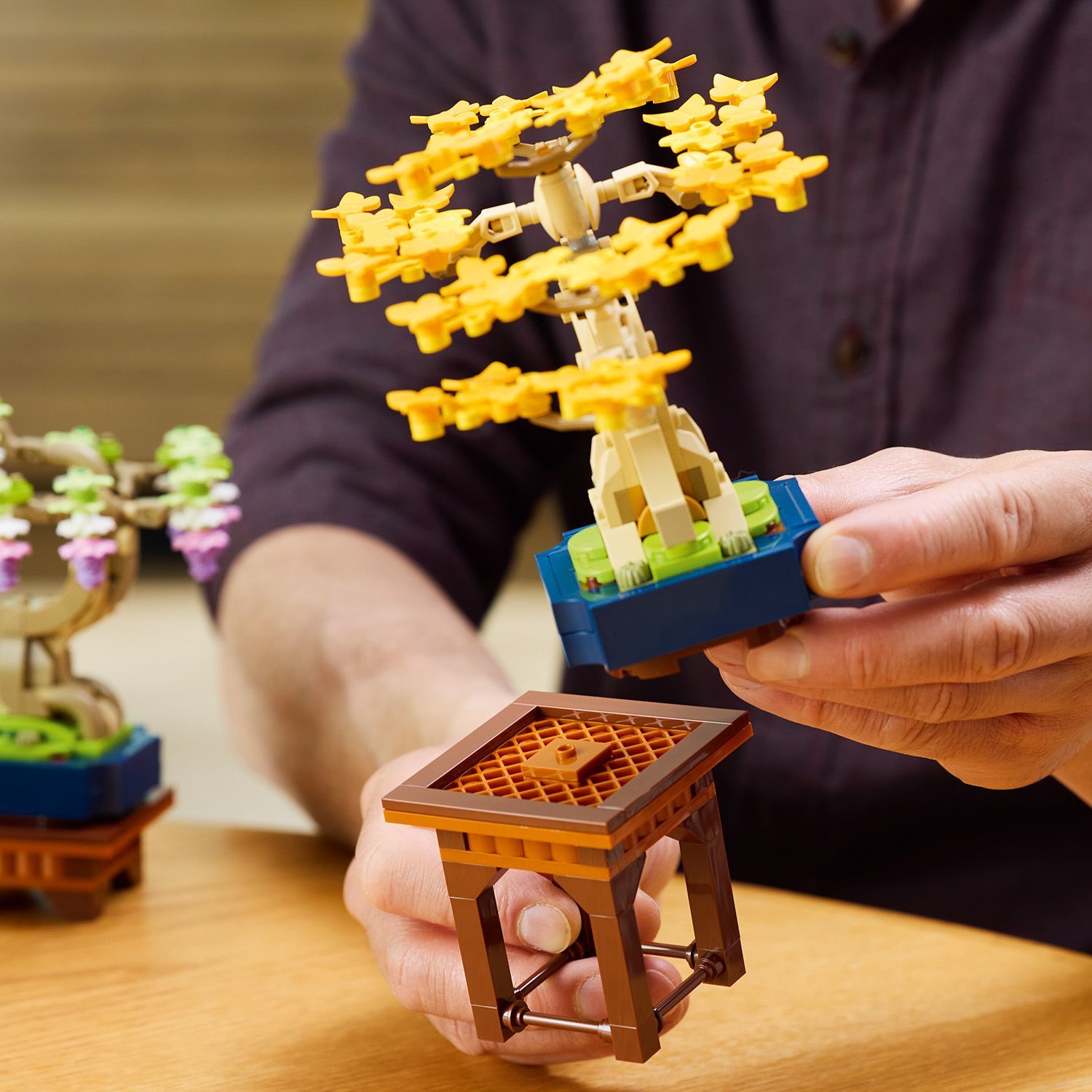 LEGO 10373 Botanicals Mini Bonsai Trees Building Kit