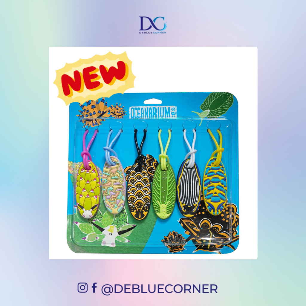 OCEANARIUM Nudibranch Equipment Tag Combo Pack Seaslug Gear Tag