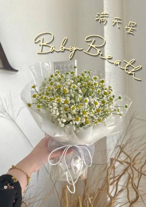 Baby Breath 满天星| Green Plant Society