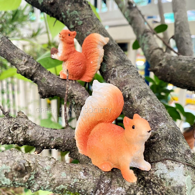 * vintage squirrel ୨୧ * 栗色の キュートなリスさん vintage squirrel ୨୧ * 栗色の キュートなリスさん - メルカリ