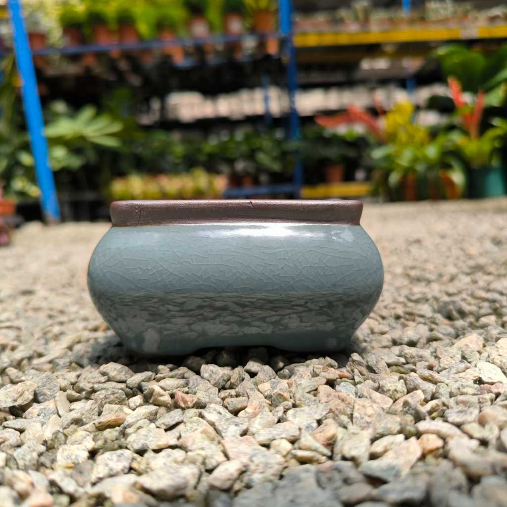 GPS Green Plant Society Blue Square Ceramic Bonsai Pot 蓝色