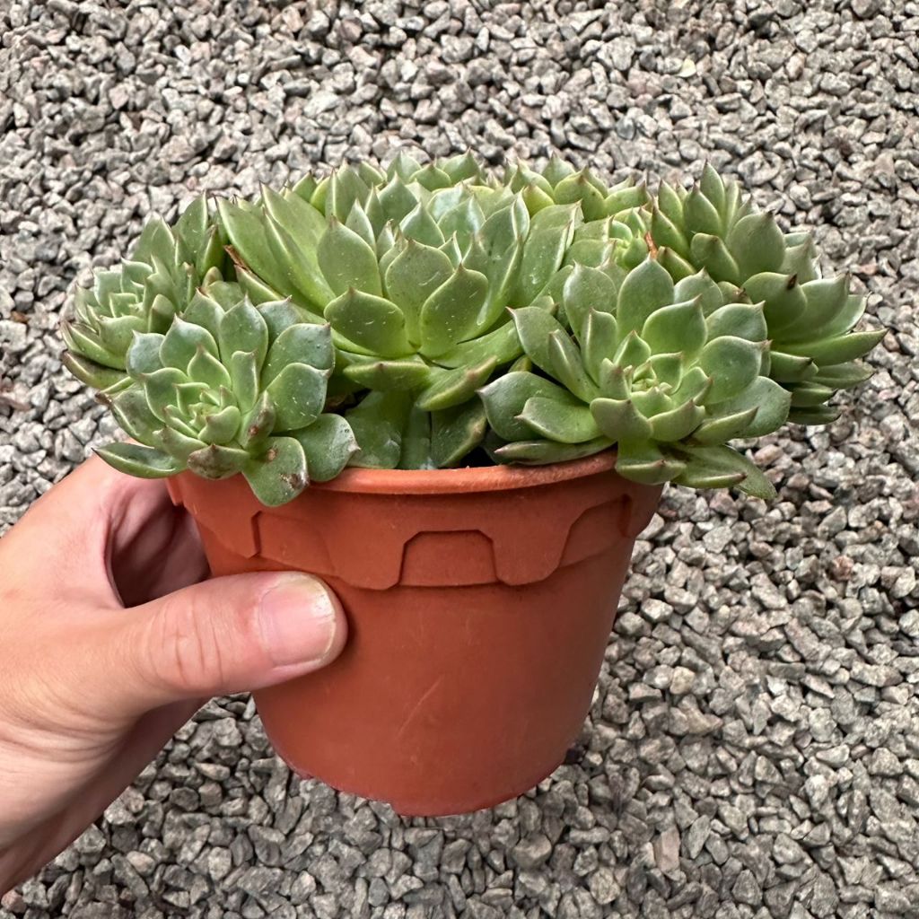 MTiOb3G267ab1ced36ac1_17392673