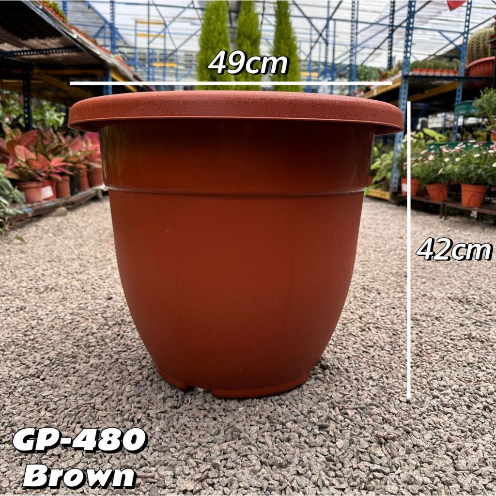 terrarium plant store Open Plant Terrarium 3 L – Seedor main image 0