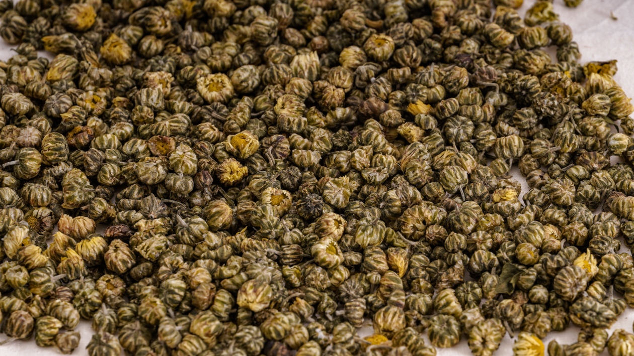 陶胎染付 菊花 小碗 数と骨董】古伊万里染付菊花七宝繋文輪花皿 d19.7cm Imari Blue