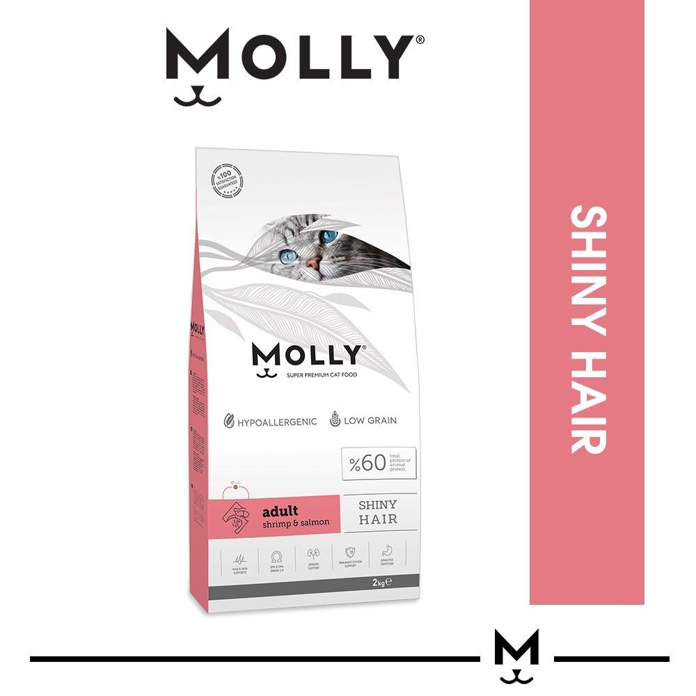 Molly 2kg (Original Pack) Dry Cat Food for Adult/ Kitten Mother