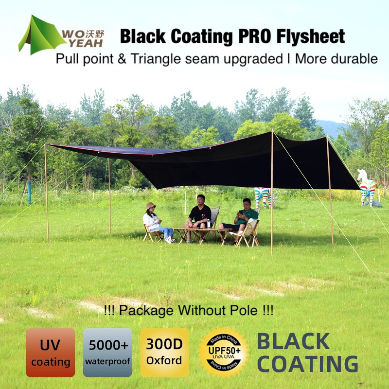 FBsQ6FJ163a849399ad16_16719731