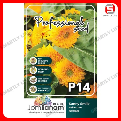 Helianthus Sunny Smile Sunflower 特色向日葵Jom Tanam Seeds
