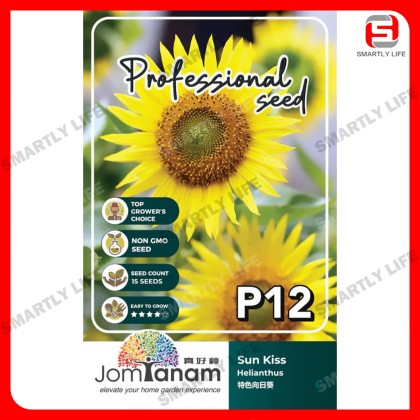 Helianthus Sun Kiss Sunflower 特色向日葵Jom Tanam Seeds