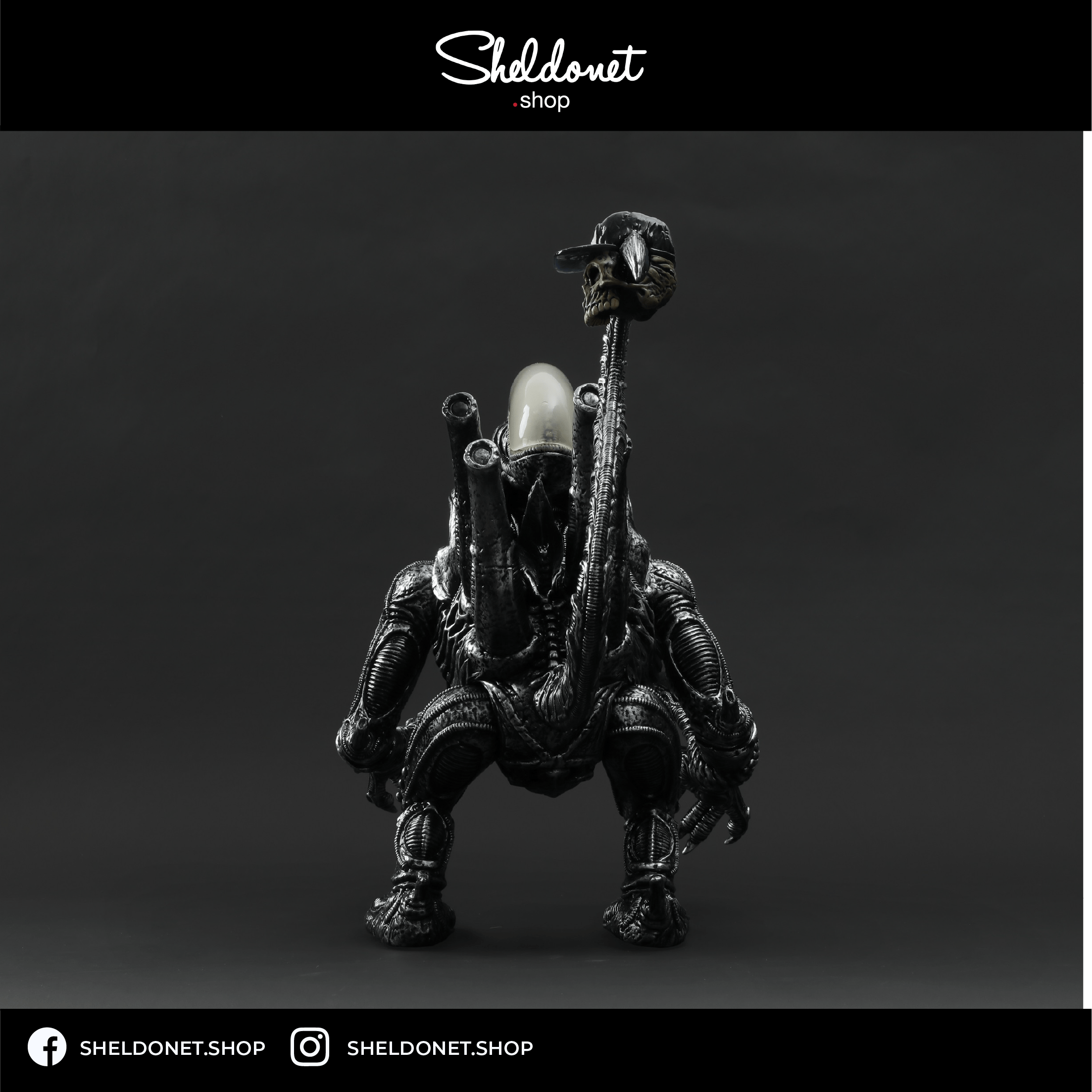 SHELDONETSHOP_TEMPLATE_ALIEN_3