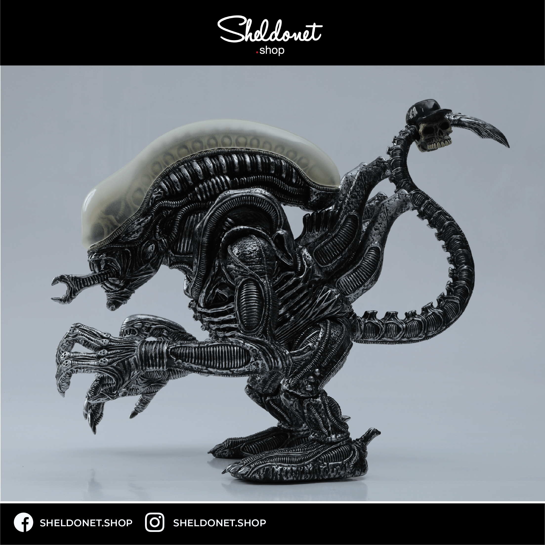 SHELDONETSHOP_TEMPLATE_ALIEN_9