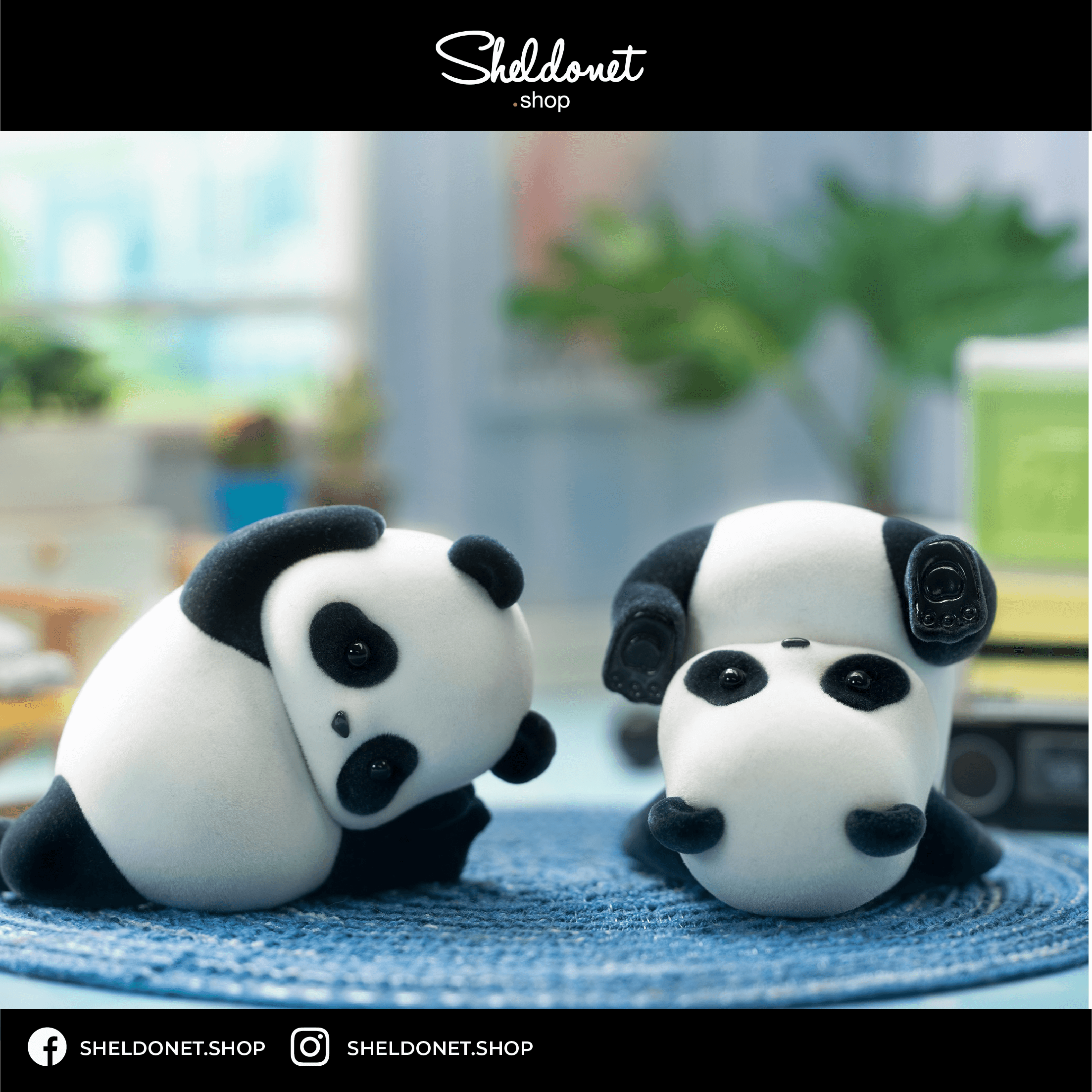 SHELDONETSHOP_TEMPLATE_PANDARO