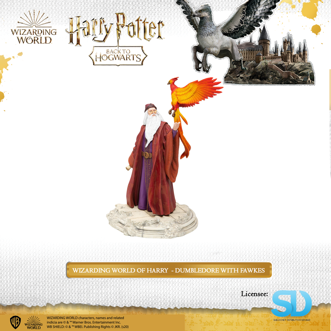 FIGURINE WIZARDING WORLD Harry Potter héro collector Dumbledore year 1 EUR 14,99 - FR