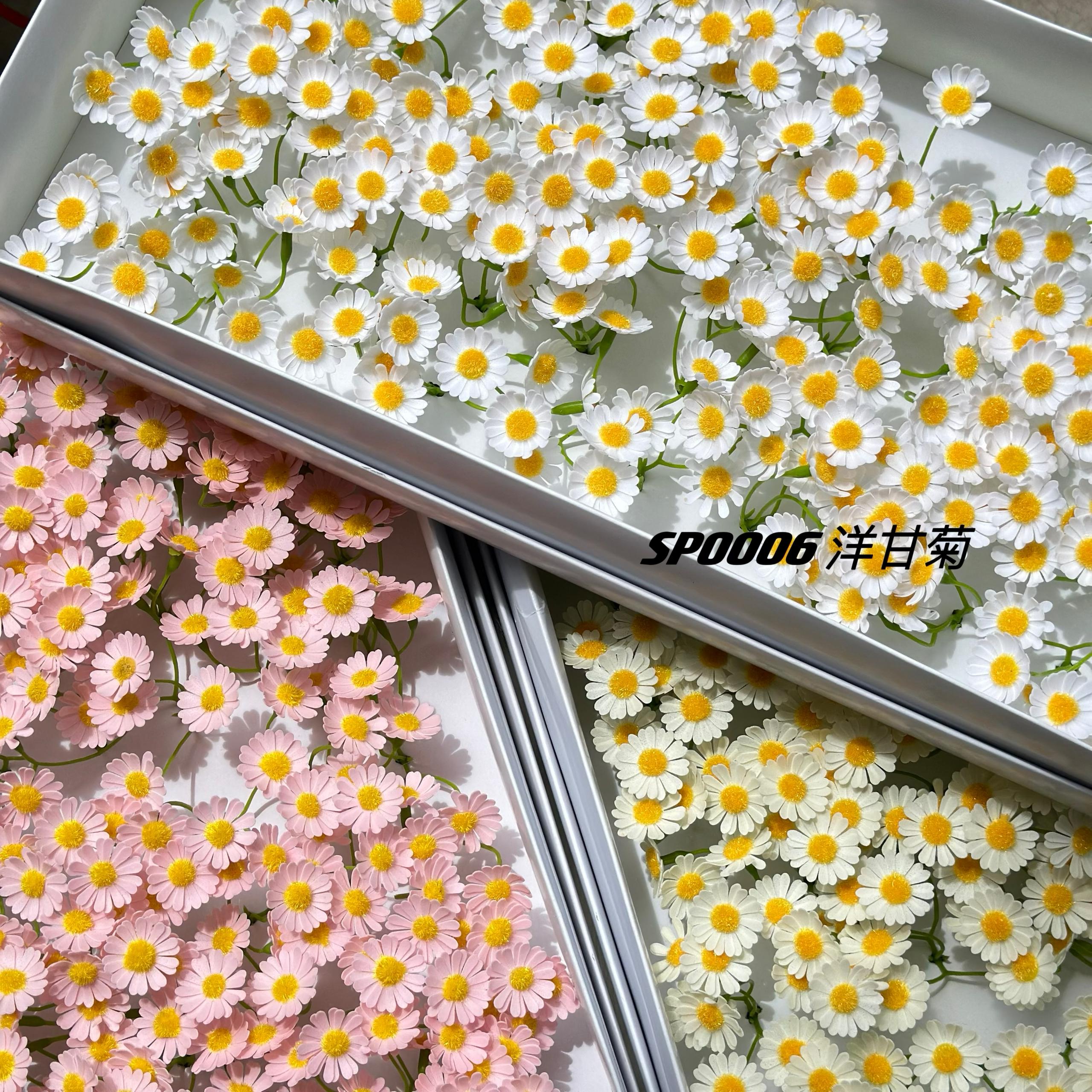 洋甘菊香皂花- (50pcs) | SW Flower And Gifts