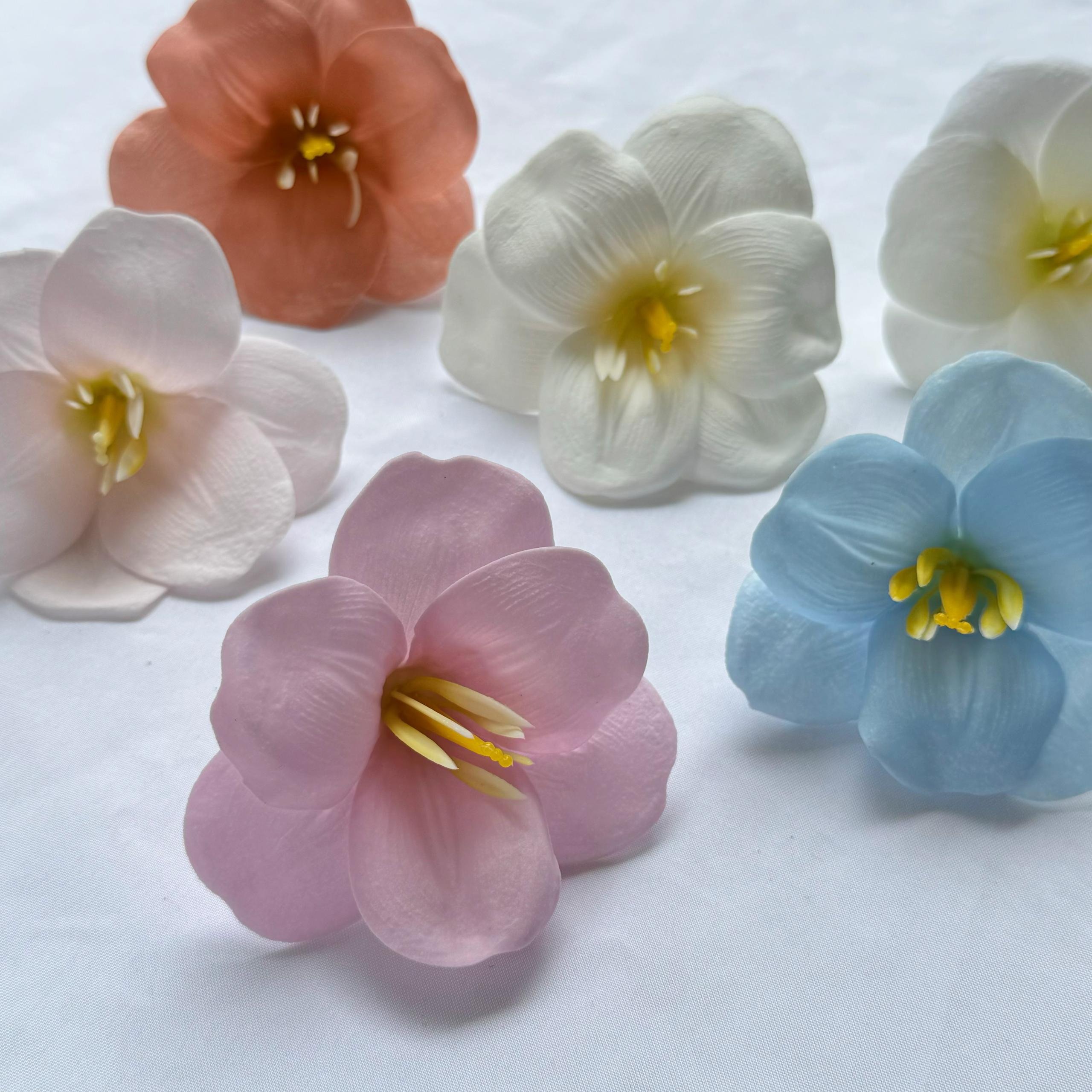 Tulip Soapflower 开瓣郁金香香皂花(25pcs) | SW Flower And Gifts