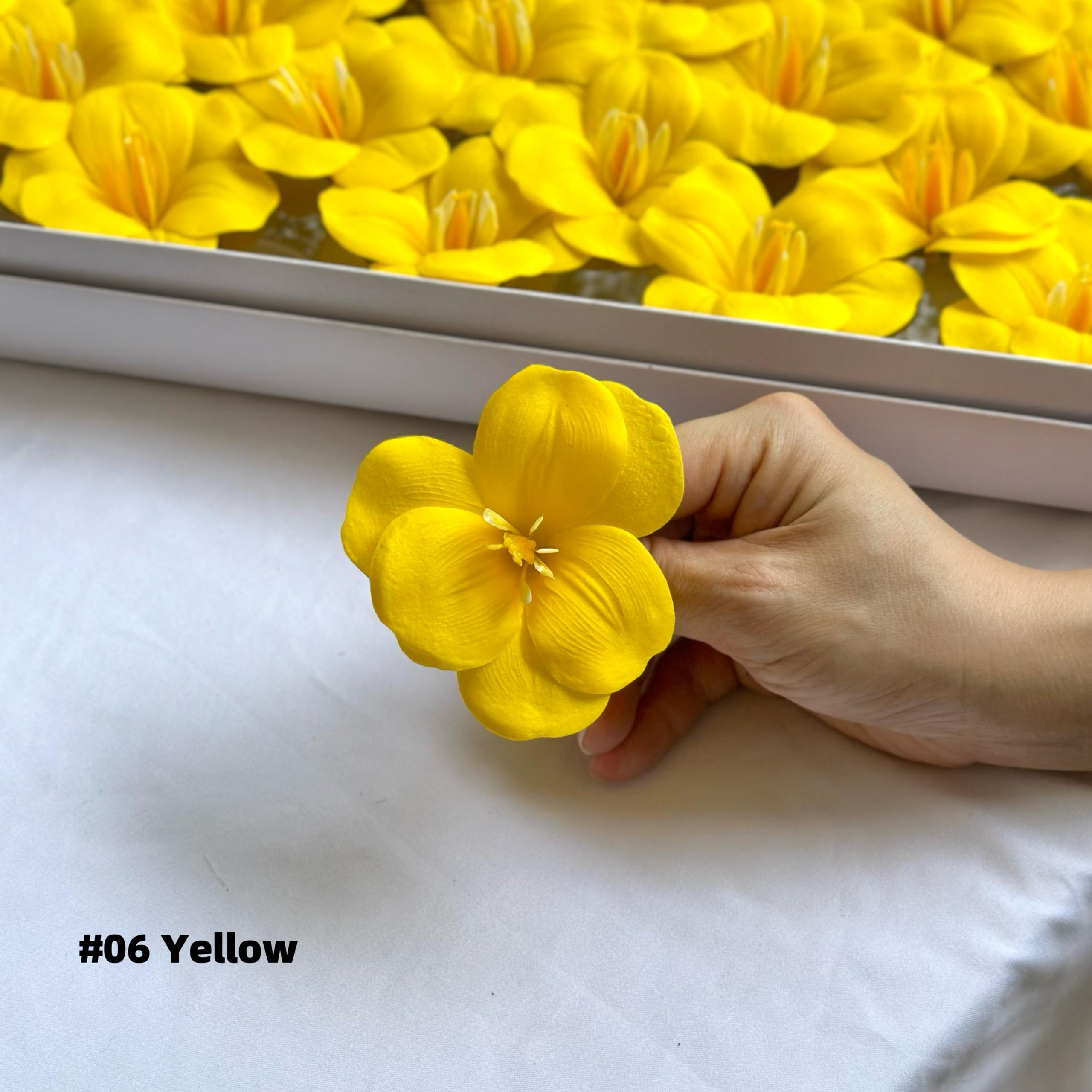 Tulip Soapflower 开瓣郁金香香皂花(25pcs) | SW Flower And Gifts