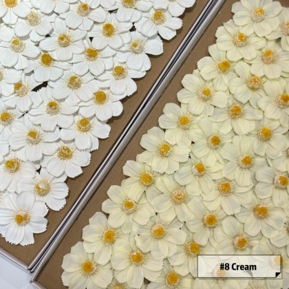 波斯菊香皂花- (50pcs) | SW Flower And Gifts