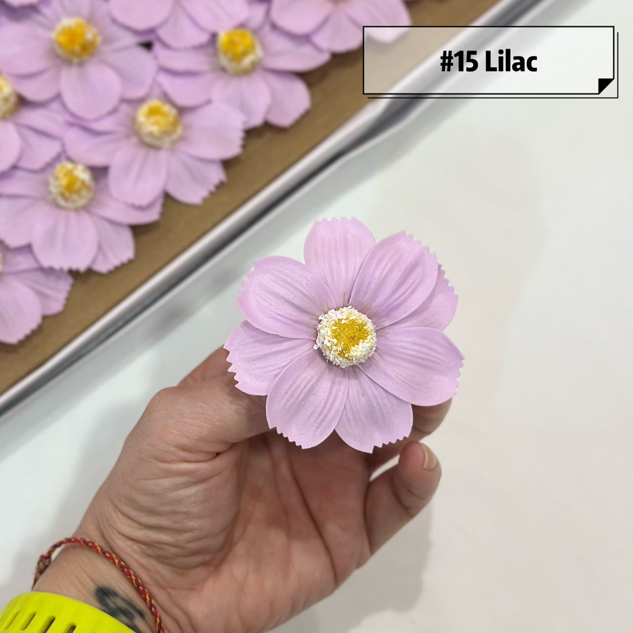 波斯菊香皂花- (50pcs) | SW Flower And Gifts