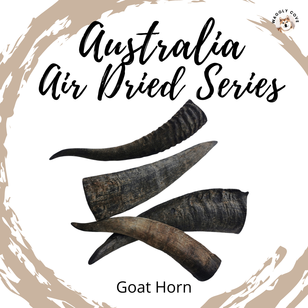 are-goat-horns-safe-for-dogs-to-chew