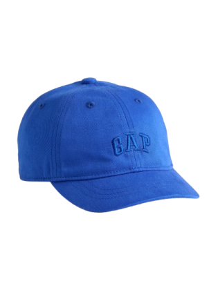 jichoi Jichoi logo cap bloo | eBay