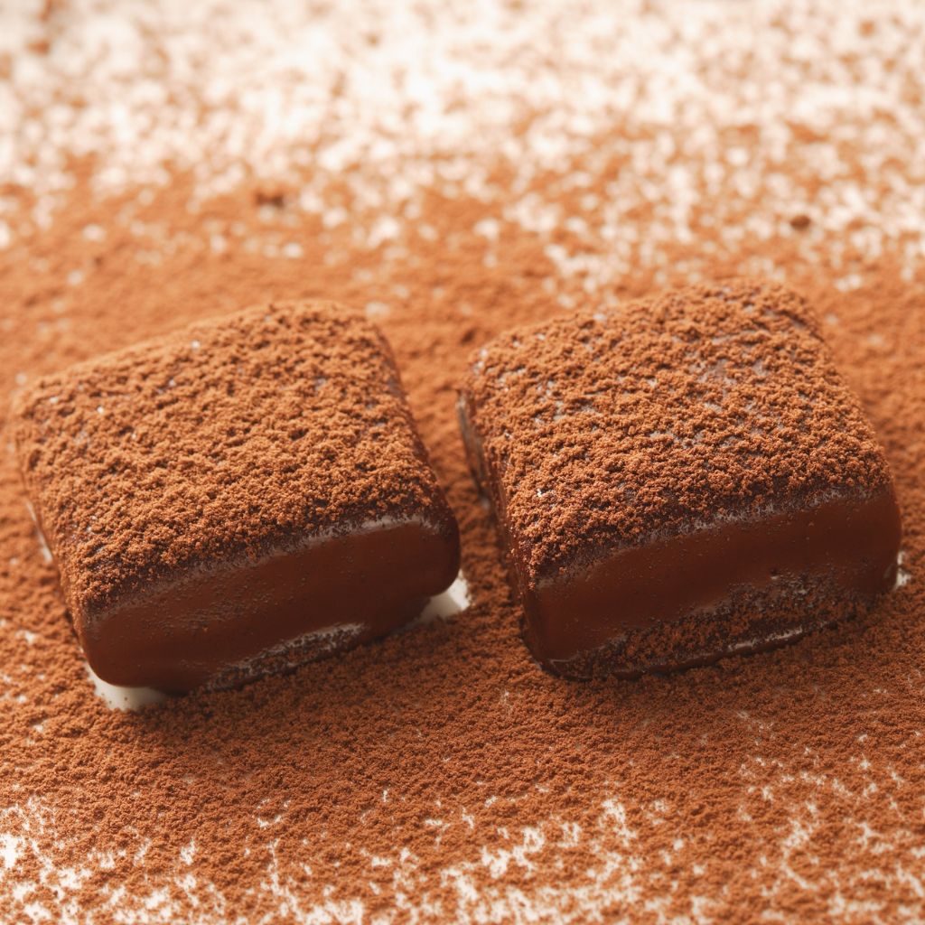 Cocoa Powder Premium JB508 1kg | Dutch Process | Baking Items