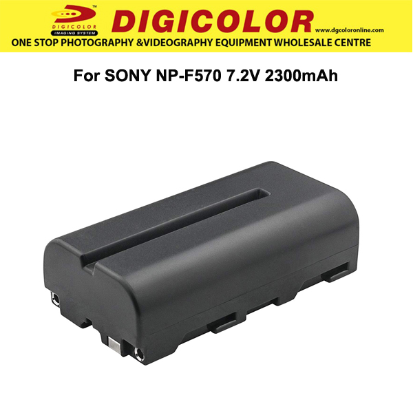 DSTE Batterie Li-Ion + Chargeur USB Compatible Sony NP-F550 NP-F330 NP-F530 NP-F570