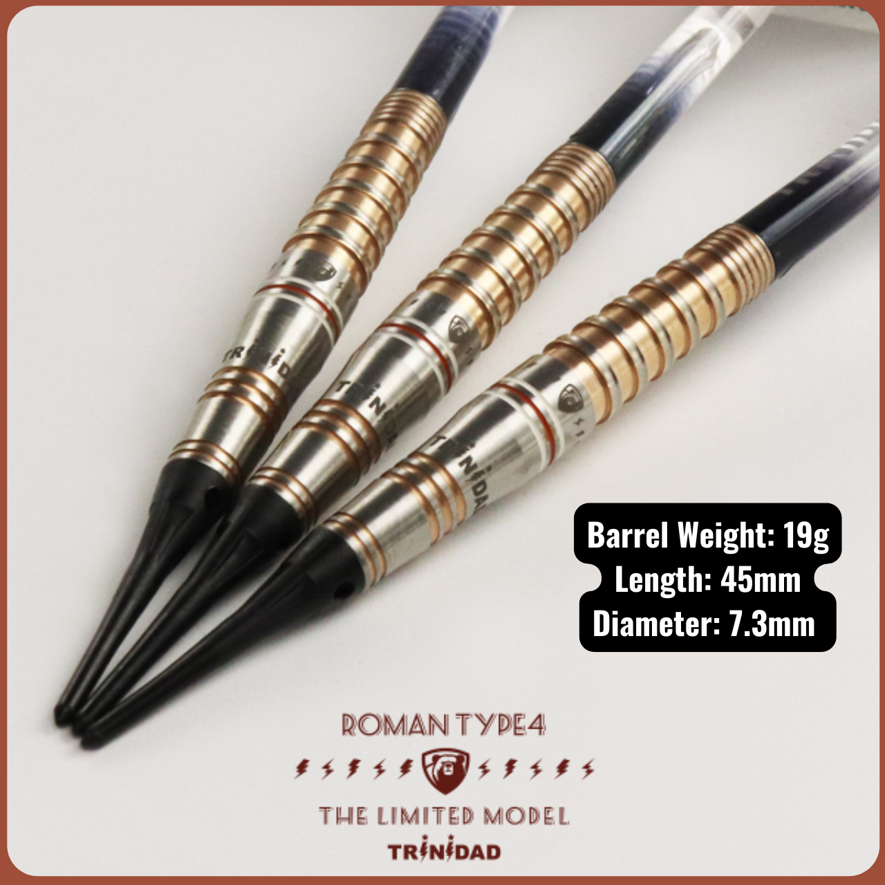 TRiNiDAD Roman Type4 Limited Model おまけ付