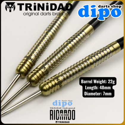 ダーツ TRiNiDAD Undisputed RICARDO2 Steel fLnluLvE65e75d180d9d7_17096614