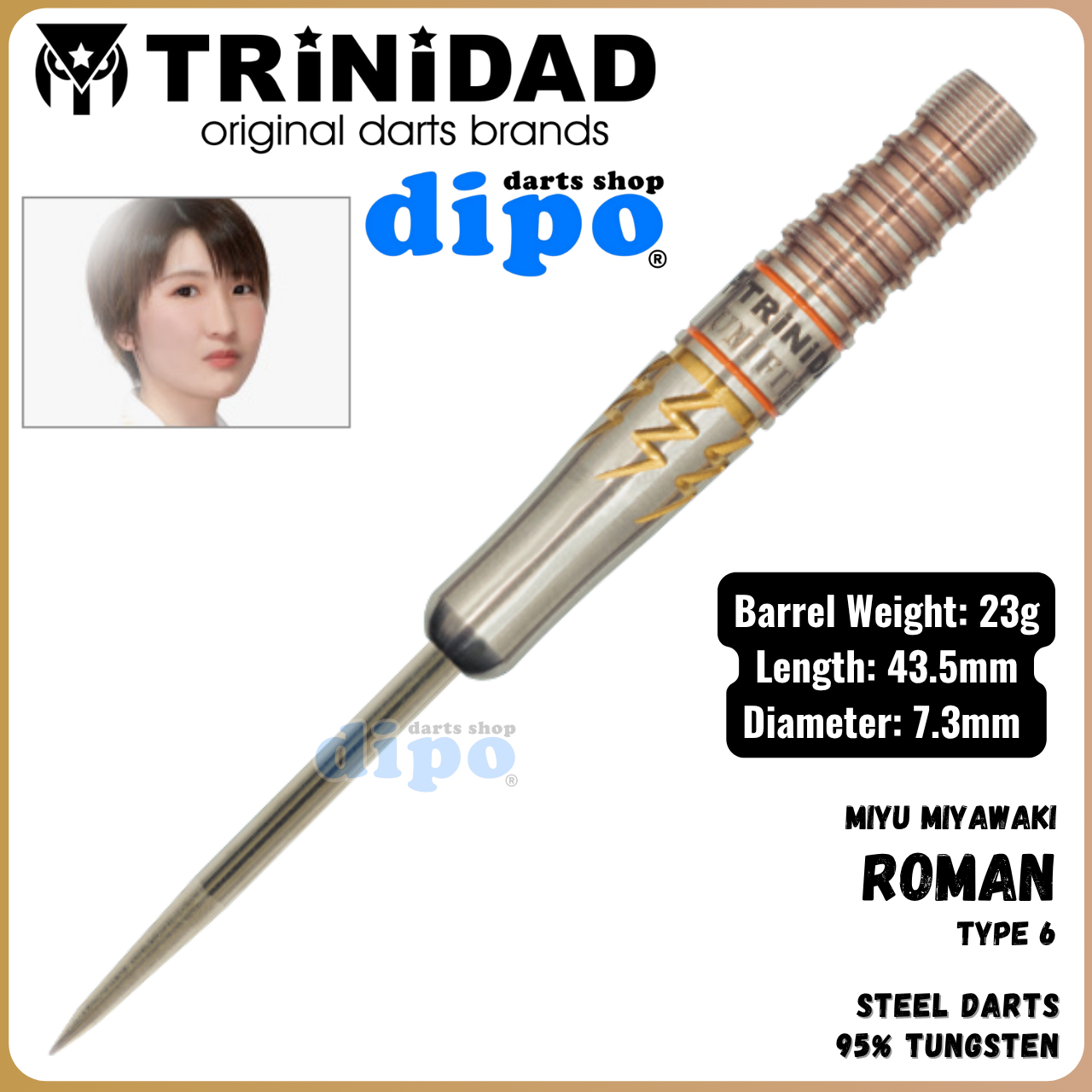 TRINIDAD ROMAN TYPE 6 ダーツ 3本セット スティール