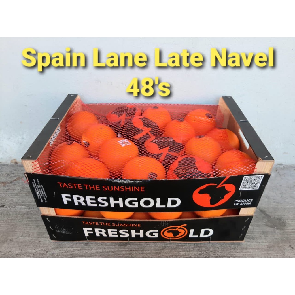 Sunkist Navel Orange SIZE: L (Sunkist 3107 size 88) / Egypt or Spain Navel Orange SIZE: XL - (4, 8 o