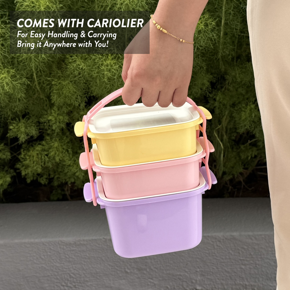 Elianware 2/3/4 Layer Tier Microwaveable [BPA FREE] Square Tiffin Food Carrier Lunch Box with Cariolier