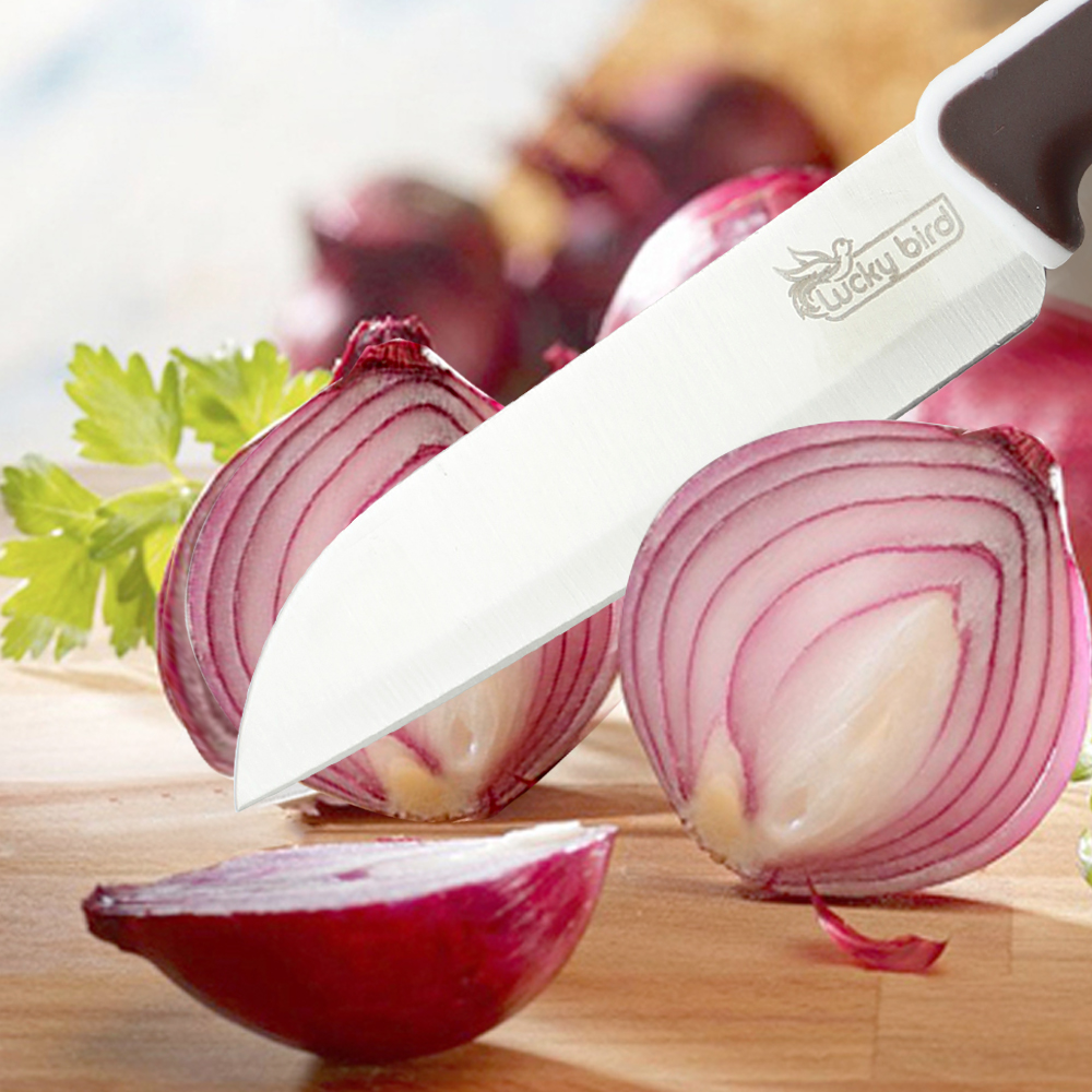 Elianware Fruit Stainless Steel Kitchen Knife Knives Pisau (26cm)