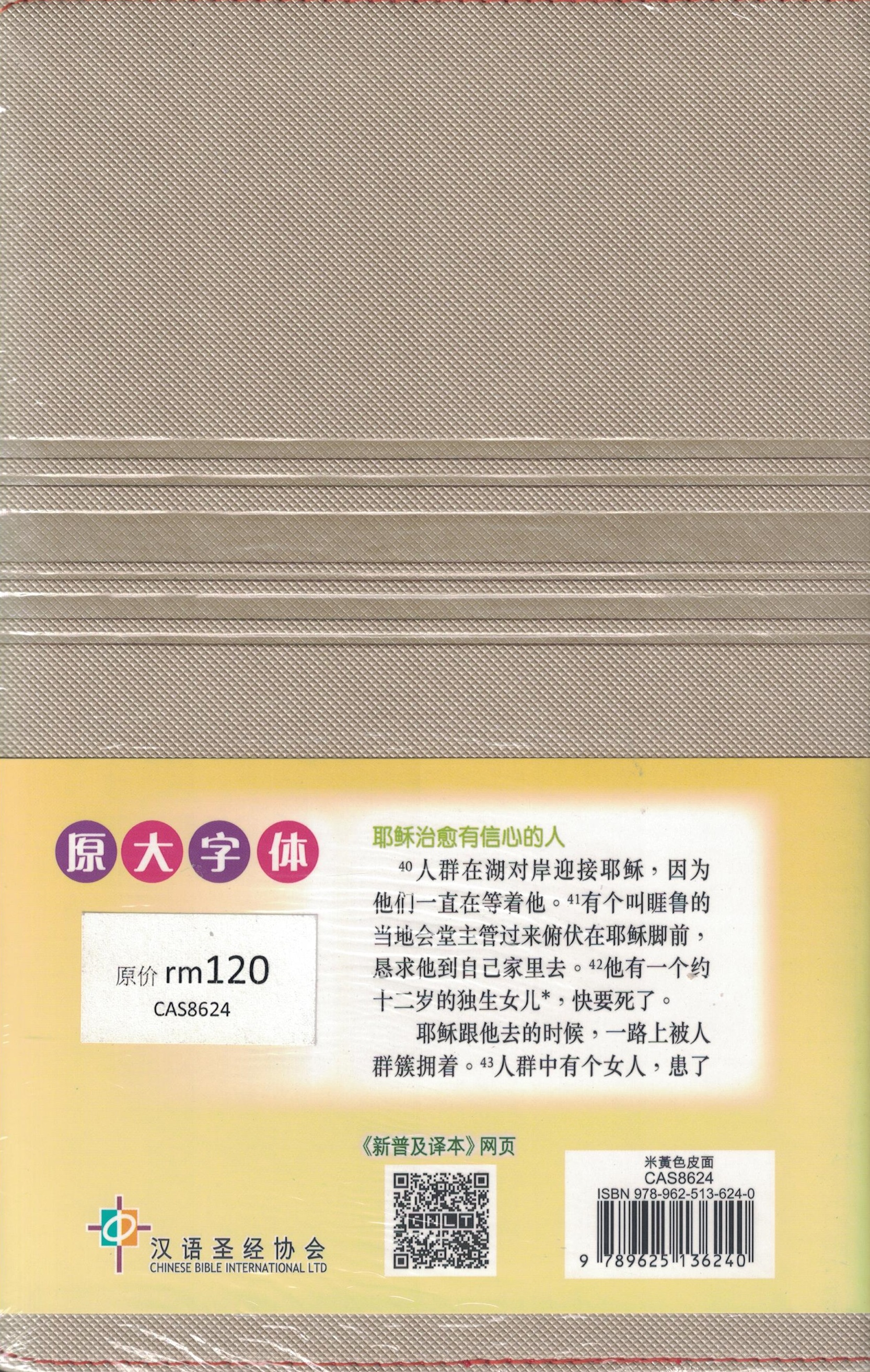 聖經: 新普及譯本 (皮面)/圣经: 新普及译本 (皮面) 圣经-新普及译本-汉语拼音版/皮面#01A-117B – 美國中信書室Chinese