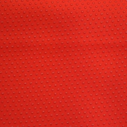 Red Slip Raster ANTISLIP RED 0.5m | Fabric Fanatics