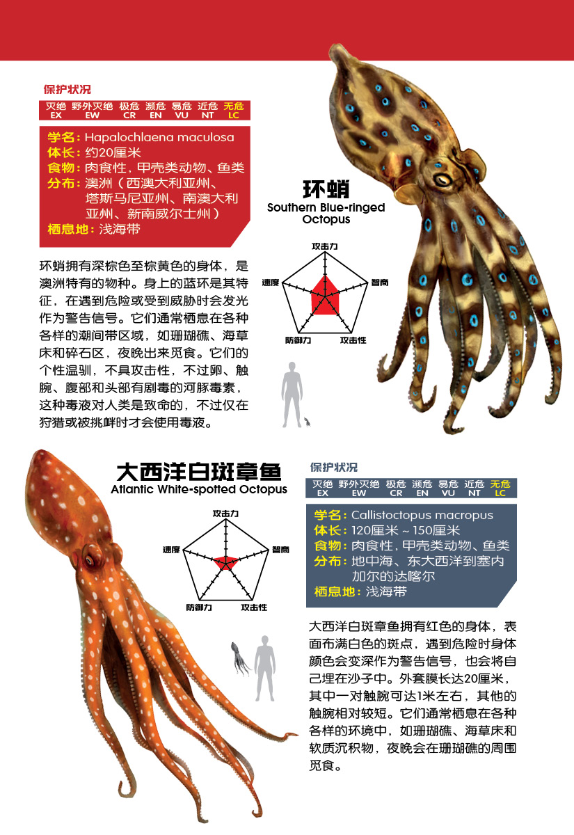 X探险特工队万兽之王III系列04：腕擒锯刃：北太平洋巨型章鱼VS 栉齿锯
