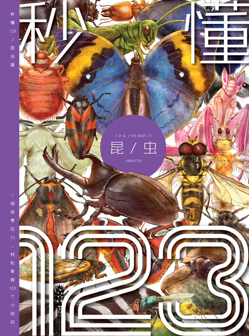 魔豆图文13：秒懂昆虫123 | Gempak Starz Store
