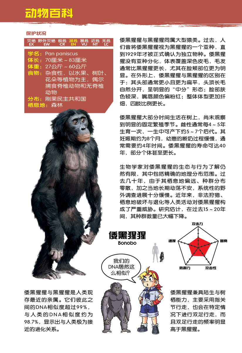 X探险特工队万兽之王IV 07：凶猿暴动：黑猩猩VS 巨狐猴VS 步氏巨猿