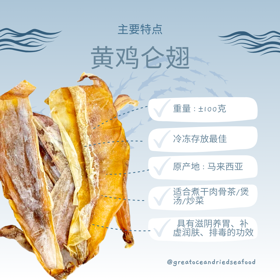 Chinese dried octopus body information card with dried pieces｜黄鸡仑翅中文说明图与干墨鱼片