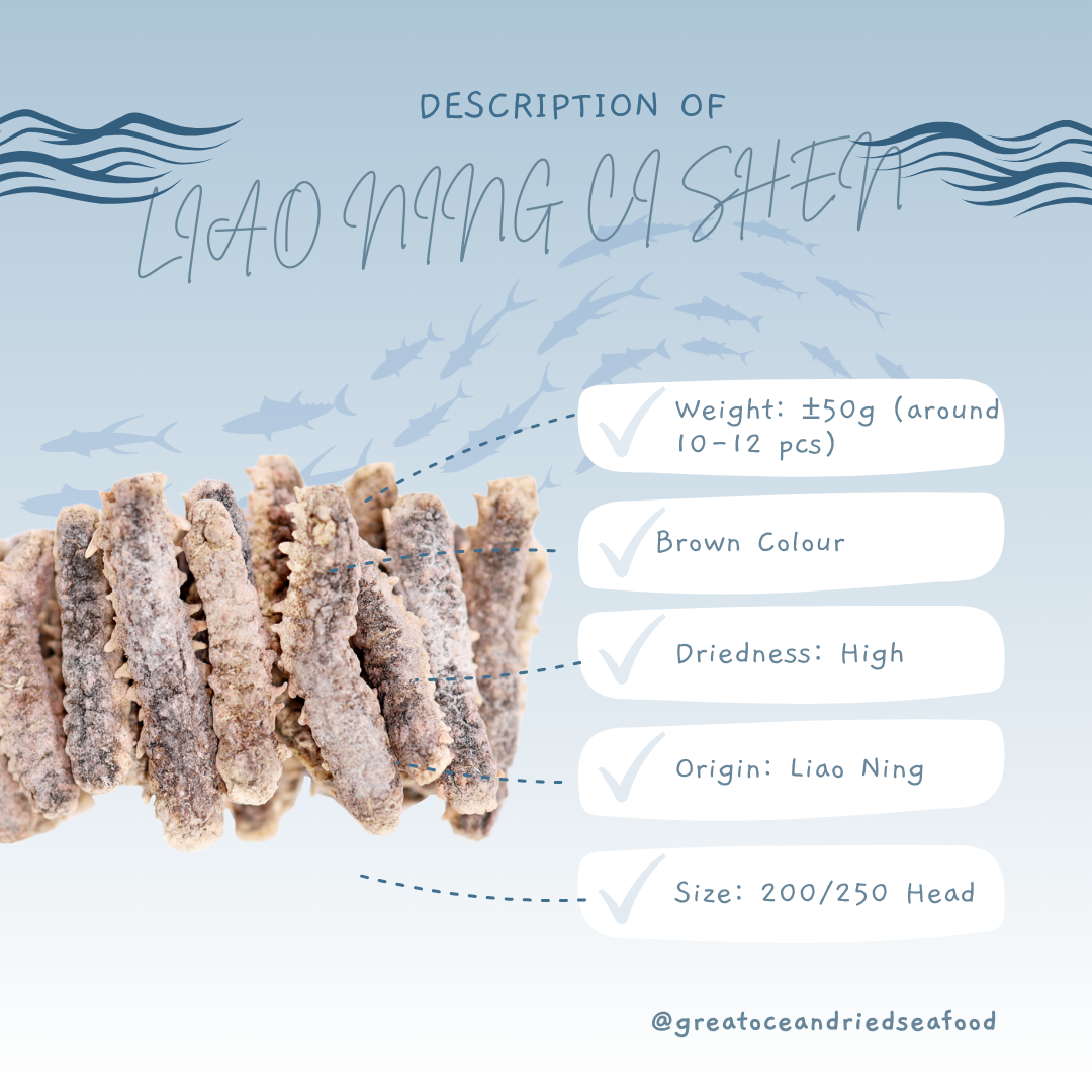 English product information card showing dried Liaoning sea cucumbers|辽宁刺参英文产品说明图与干海参