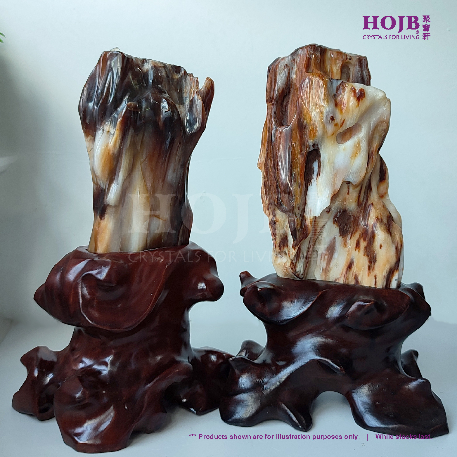 HOJB Madagascar Petrified Wood(Dendrolite) Rough Stone Ornament