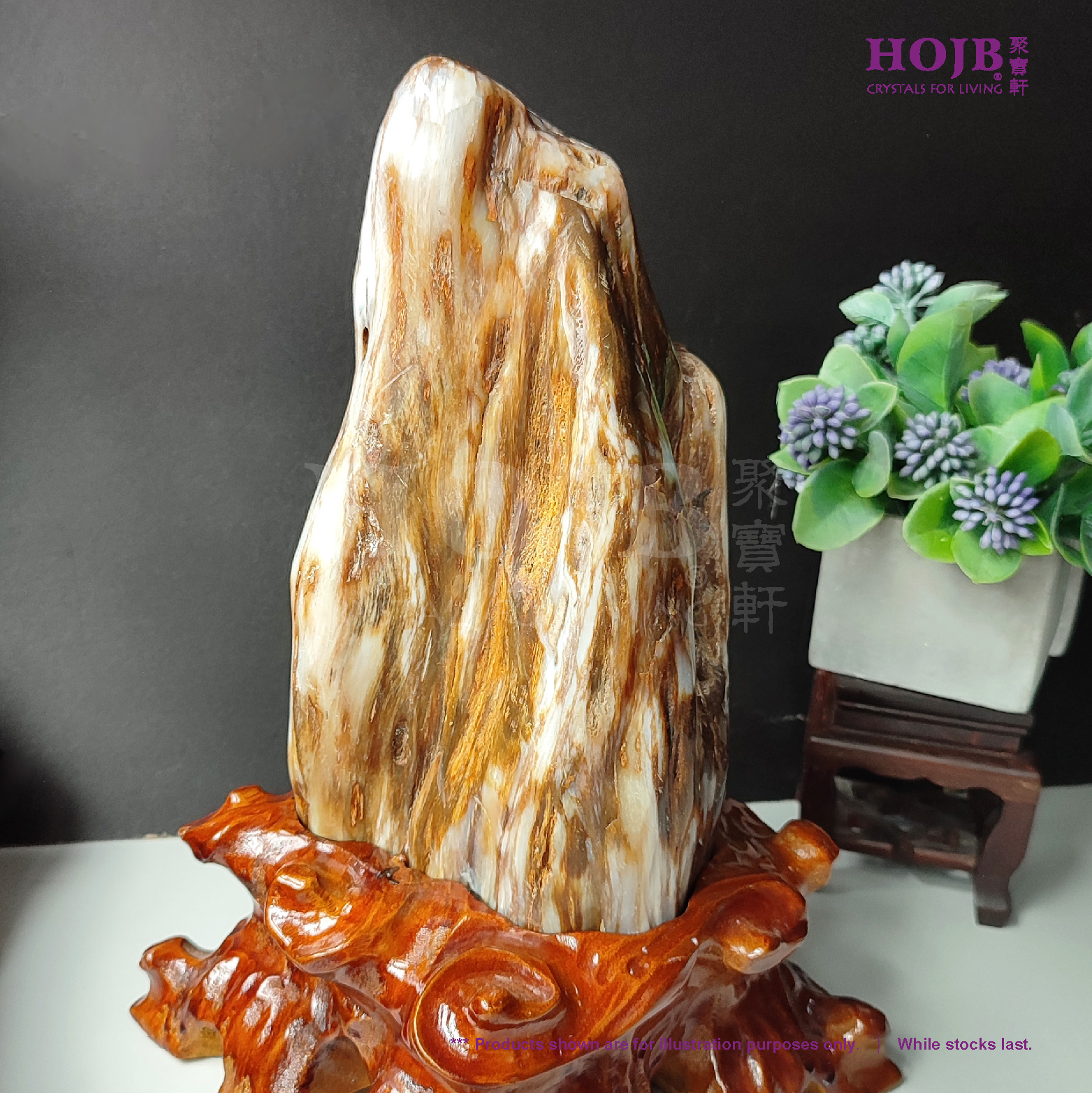 木化石 珍品 瑪瑙化置物 原石 約2kg 唐木 華道 茶道入手困難WWFT082 HOJB Madagascar Petrified Wood(Dendrolite) Rough Stone Ornament