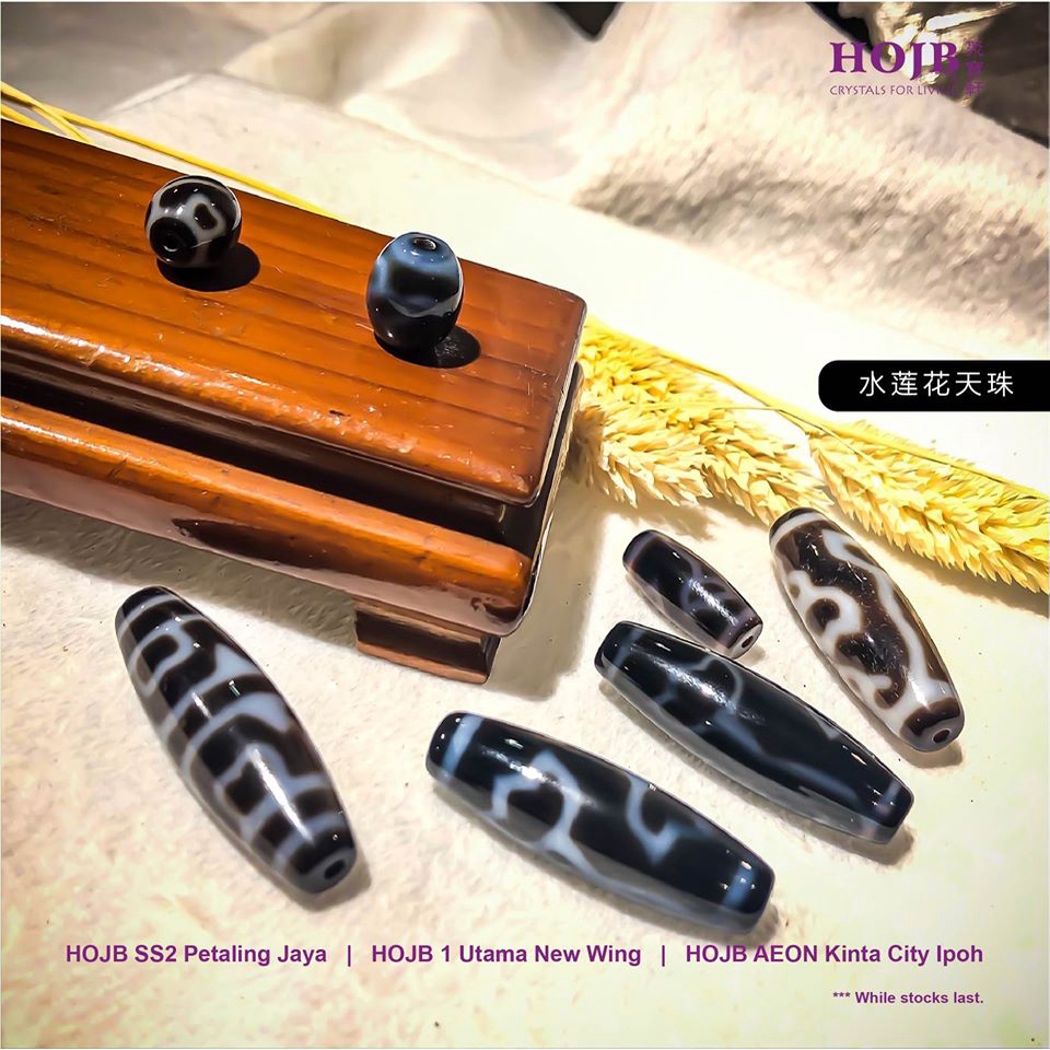 266天珠　⭐寶瓶蓮花天珠⭐　dzibeads！ Dzi Beads 天珠奇緣| Bangi