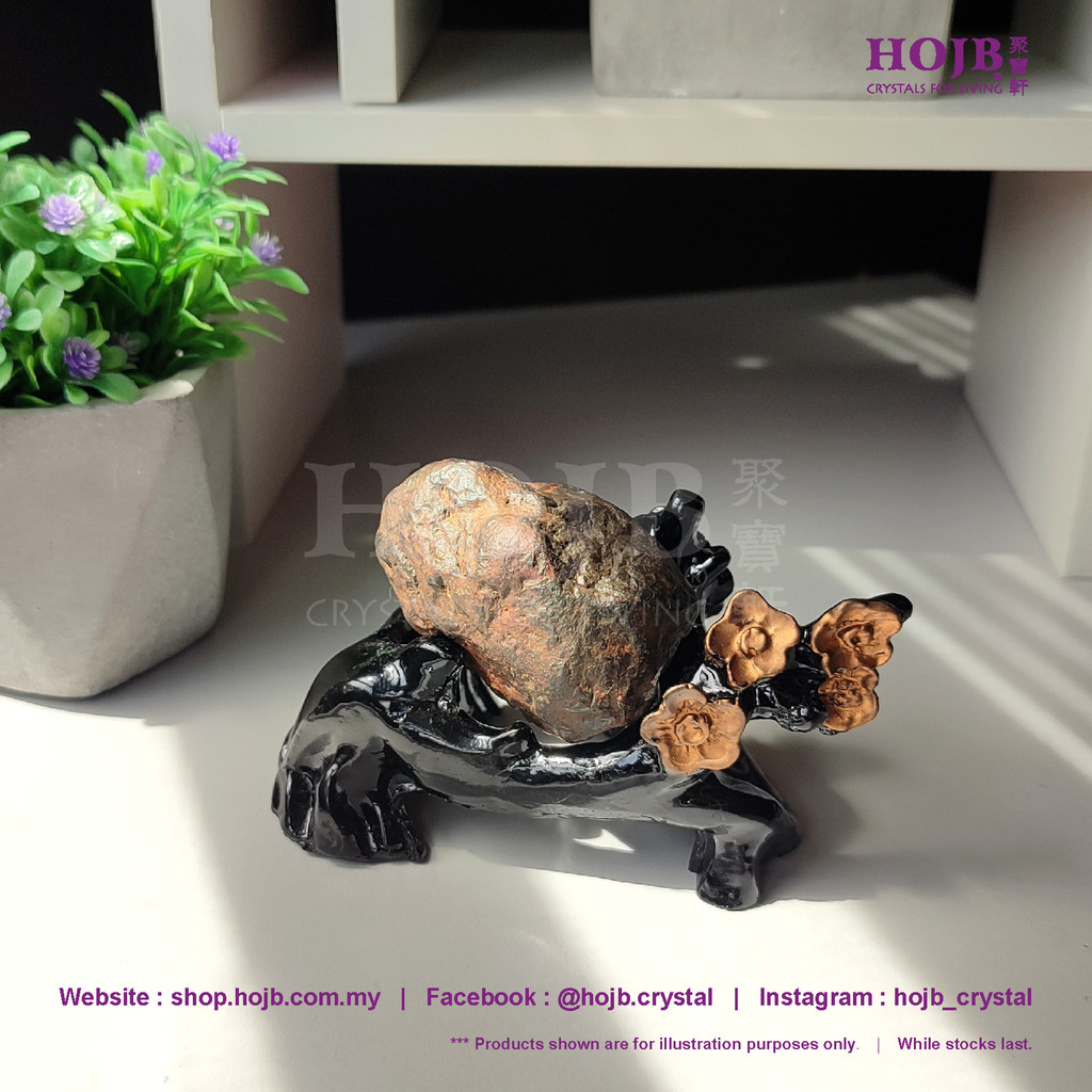 HOJB Authentic Brazil Uruaçu Meteorite Rough Stone 40x58mm