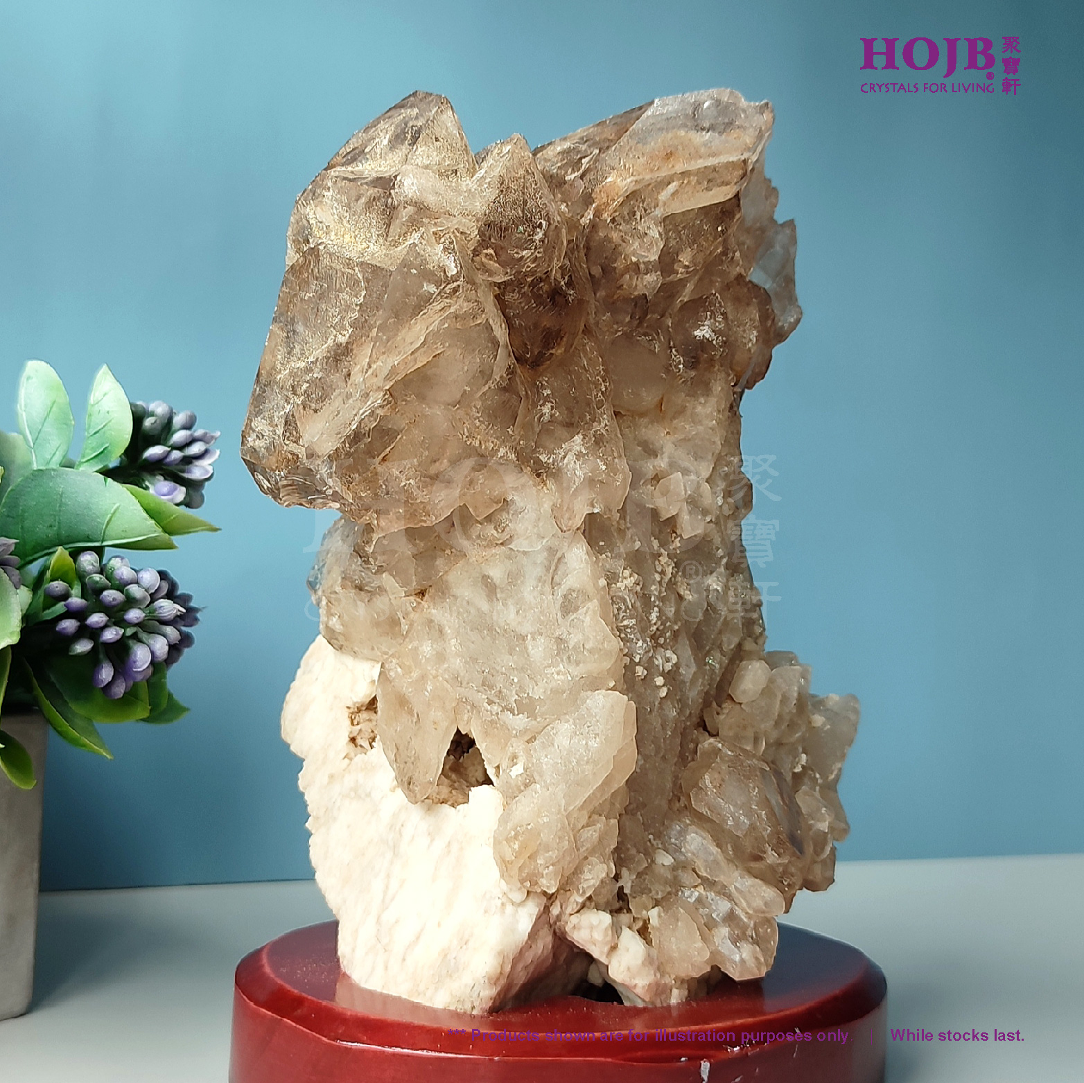 HOJB Brazilian Alligator Elestial Crystal(Skeletal Quartz