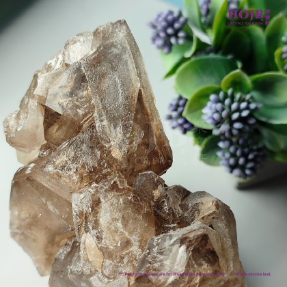 HOJB Brazilian Alligator Elestial Crystal(Skeletal Quartz