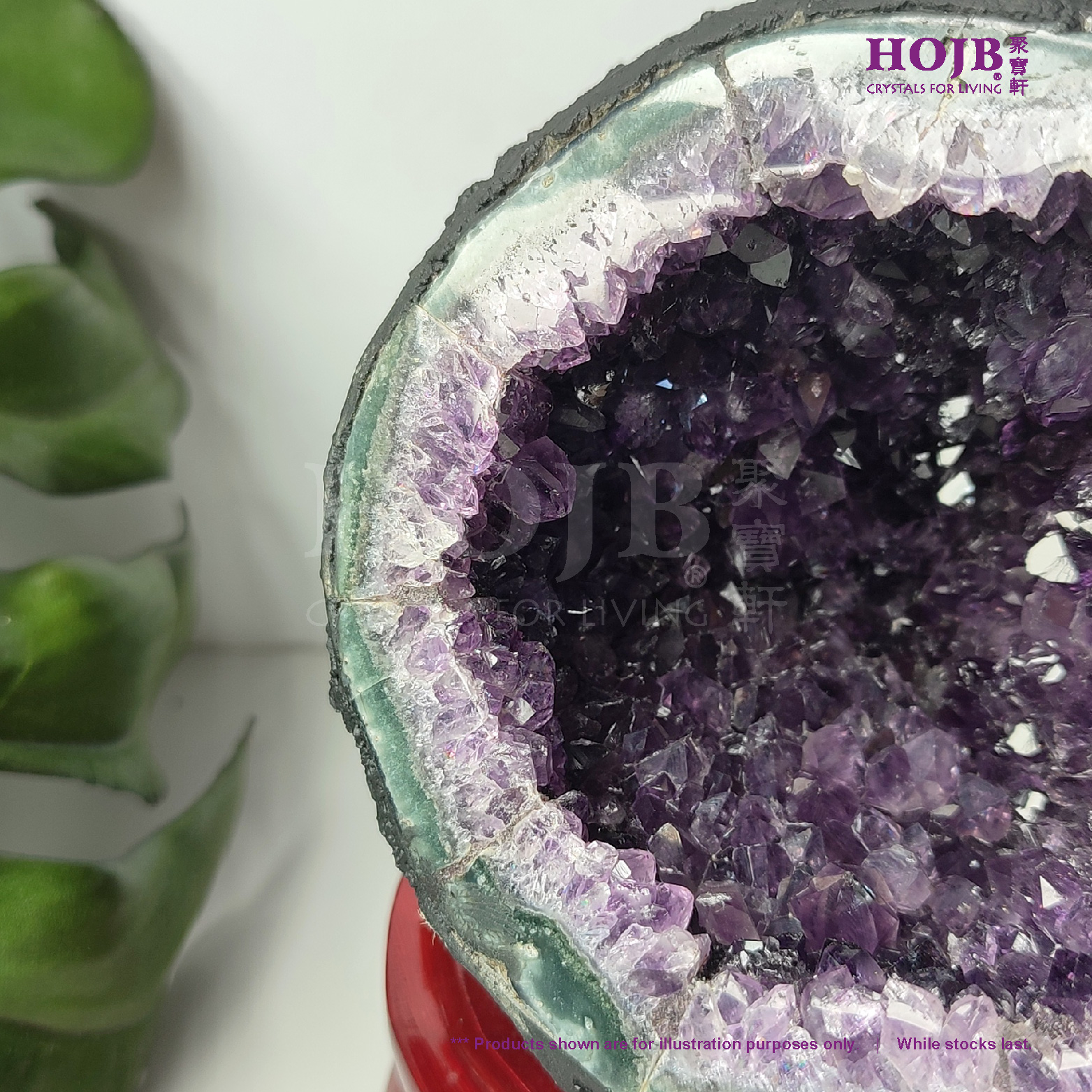 紫水晶 10.14克拉天然紫水晶，圆形的，VVS