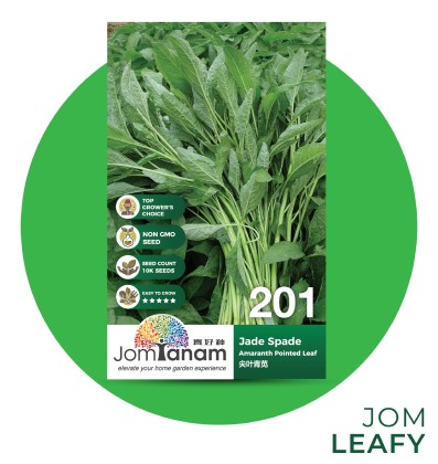 Amaranth Pointed Leaf Jade Spade 201 | Jom Tanam (M) Sdn Bhd