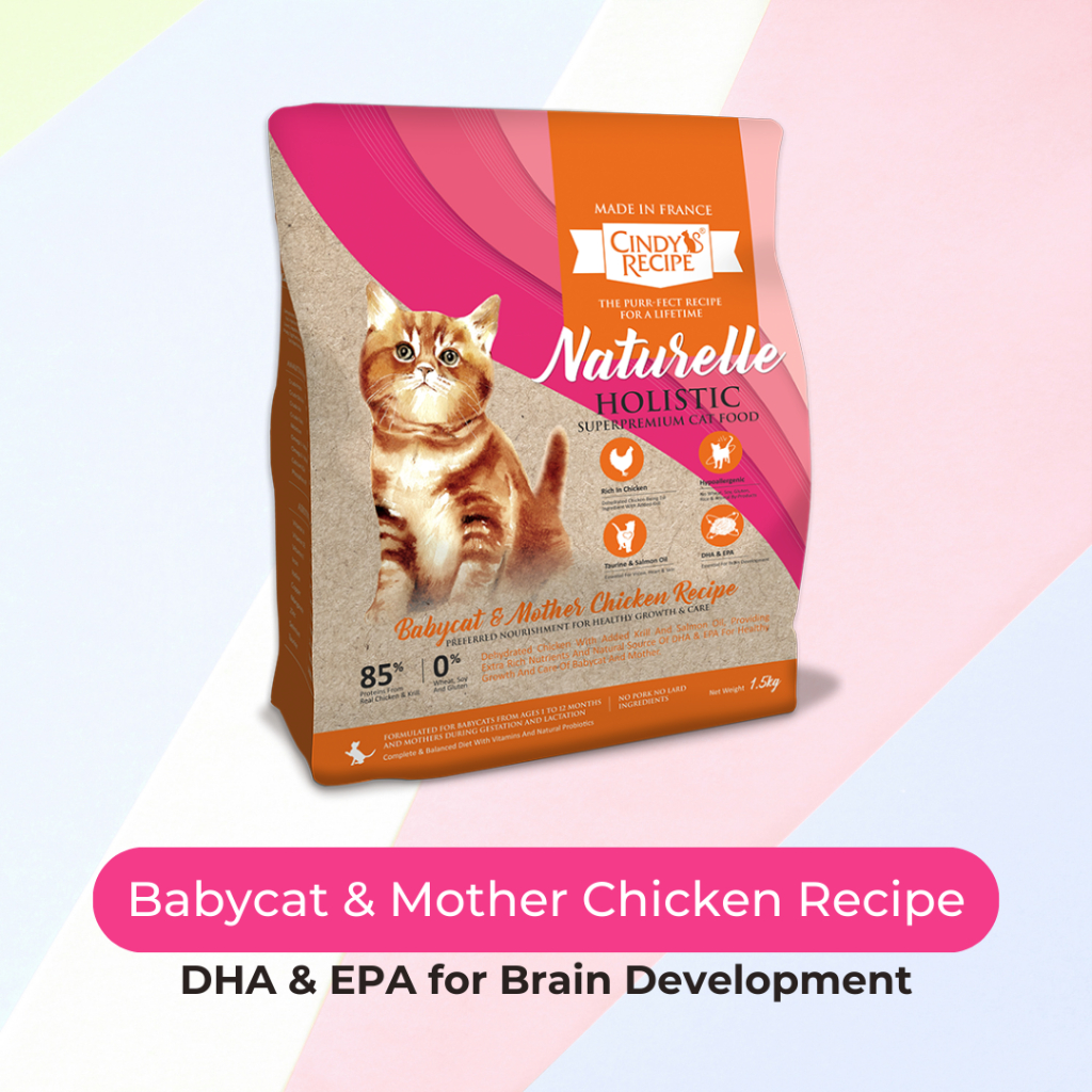 New Arrival) Cindy's Recipe Naturelle Holistic Premium Cat Food